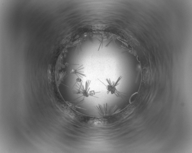 X0000071960655200607212253