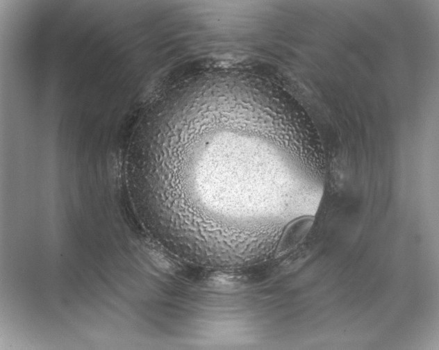 X0000071960657200607212253