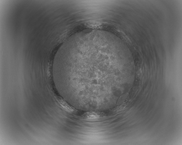 X0000071960658200607212253