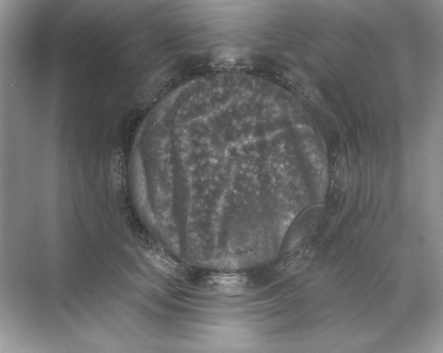 X0000071960659200607212253