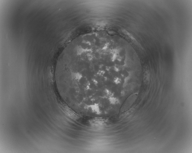 X0000071960661200607212253