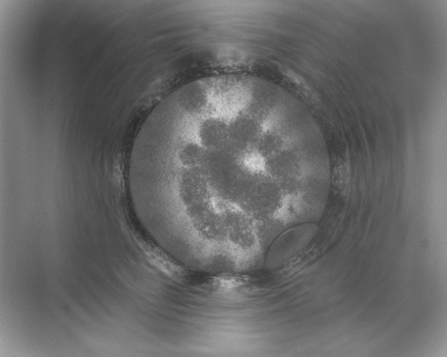 X0000071960662200607212254