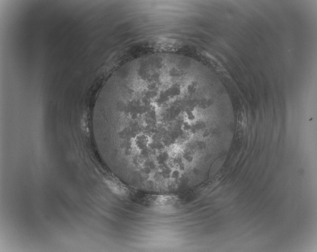 X0000071960663200607212254