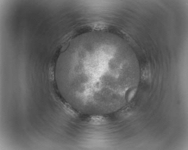 X0000071960666200607212254