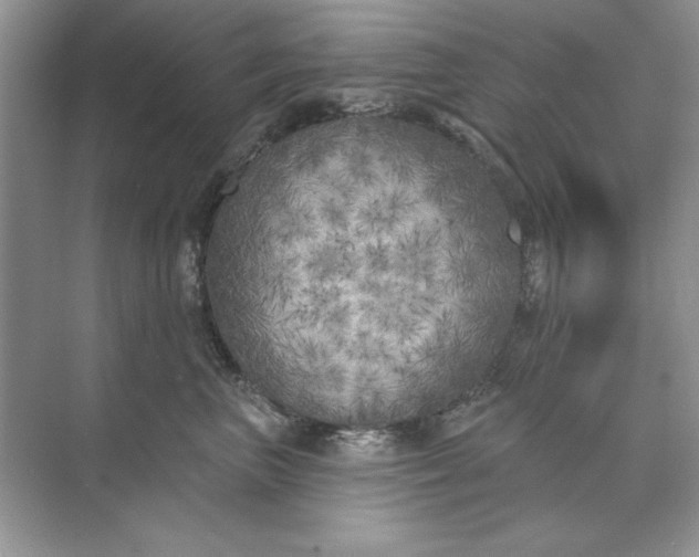 X0000071960667200607212254