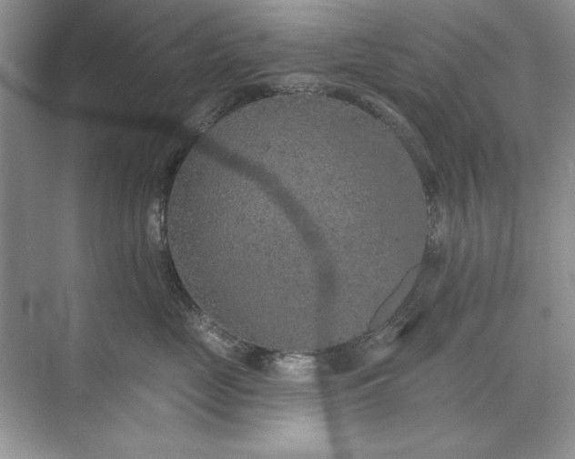 X0000071960669200607212254