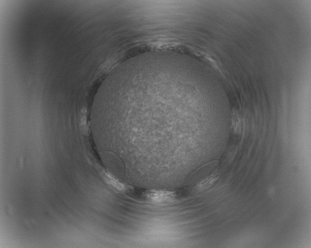 X0000071960670200607212254