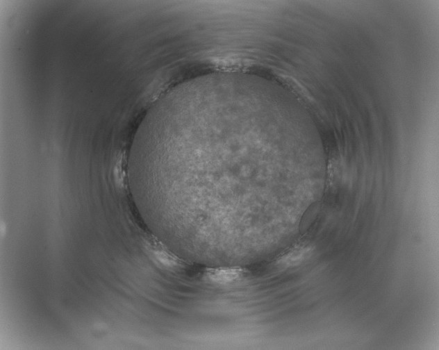 X0000071960671200607212254