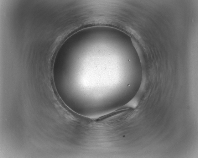 X0000071960673200607212253