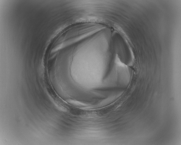 X0000071960674200607212253