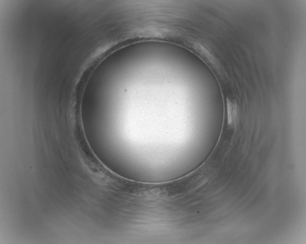 X0000071960675200607212253