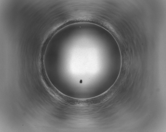 X0000071960677200607212253