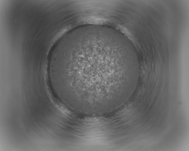 X0000071960679200607212253