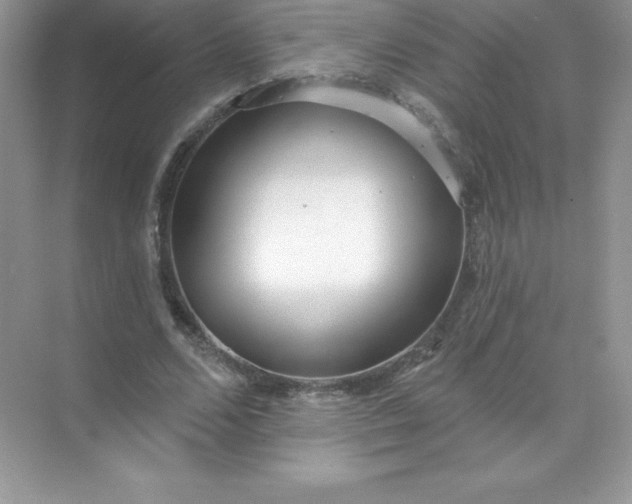 X0000071960680200607212253