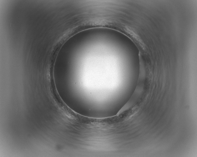 X0000071960681200607212253