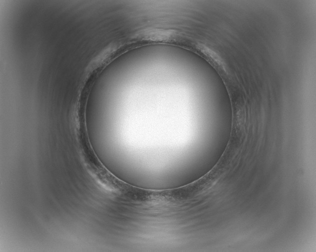 X0000071960682200607212253