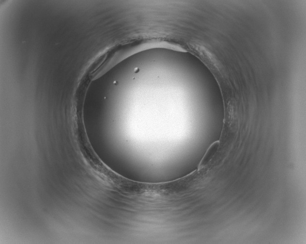 X0000071960684200607212253