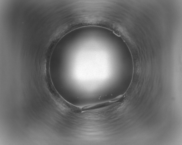 X0000071960685200607212253