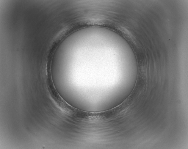 X0000071960686200607212253