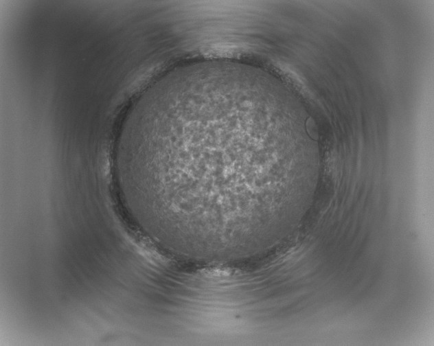 X0000071960687200607212253