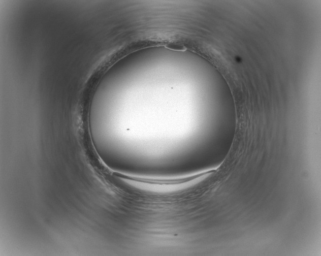 X0000071960688200607212253