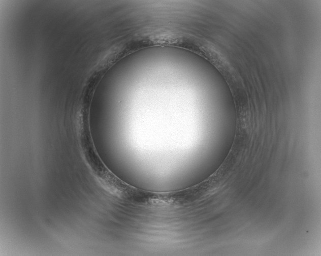 X0000071960690200607212253