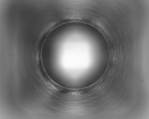 X0000071960692200607212253