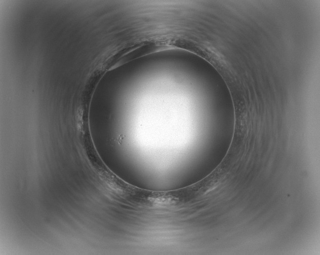 X0000071960693200607212253