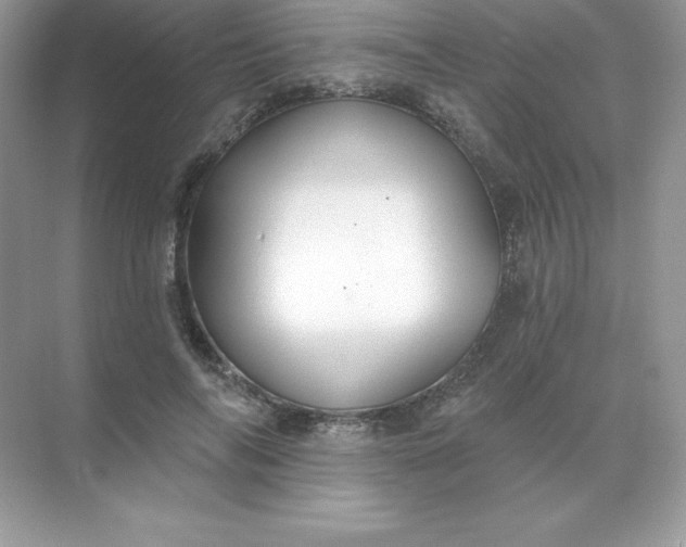 X0000071960694200607212253