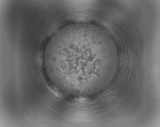 X0000071960695200607212253