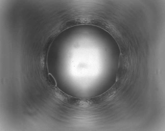 X0000071960697200607212252