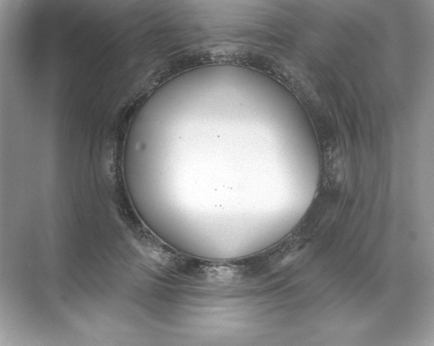 X0000071960698200607212252