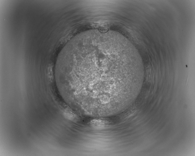 X0000071960699200607212252