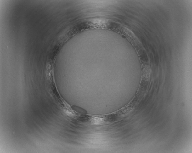 X0000071960701200607212252