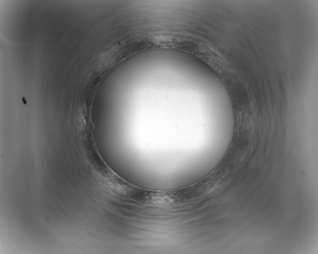 X0000071960702200607212252