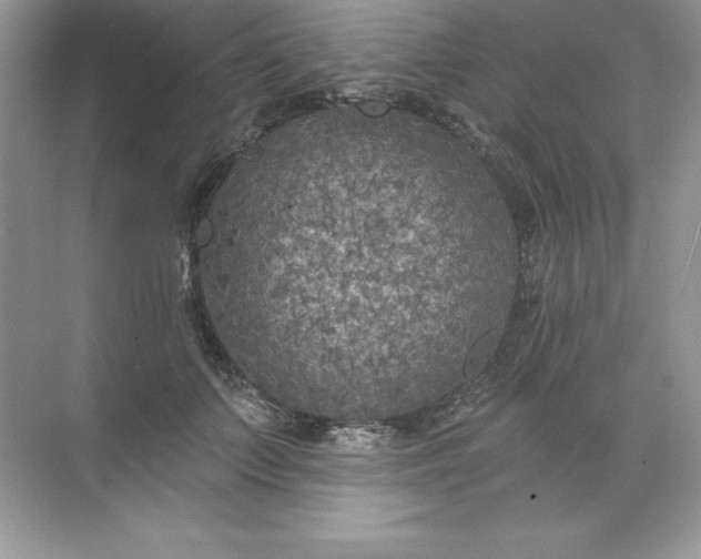 X0000071960703200607212252