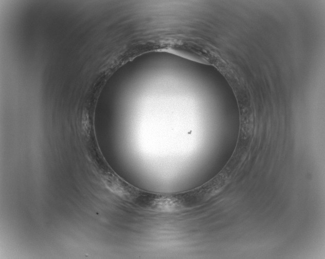 X0000071960704200607212252