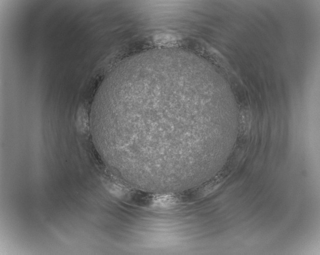 X0000071960705200607212252