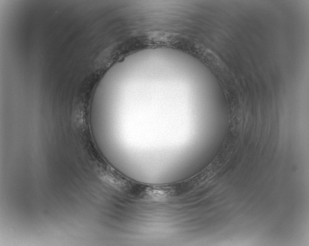 X0000071960706200607212252