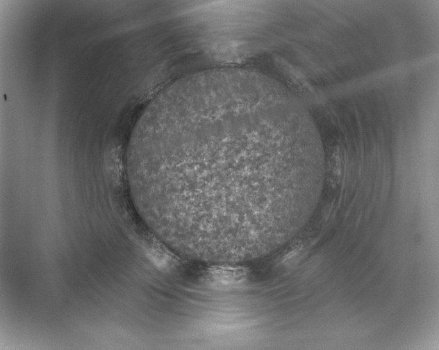 X0000071960707200607212252