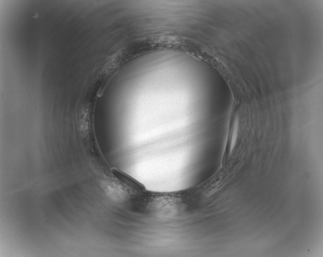 X0000071960708200607212252