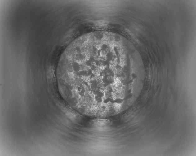 X0000071960711200607212252