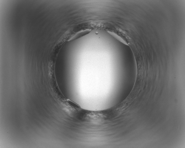 X0000071960712200607212252