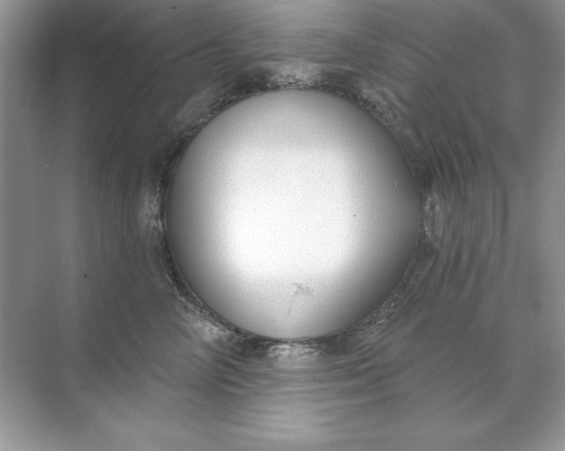 X0000071960714200607212252