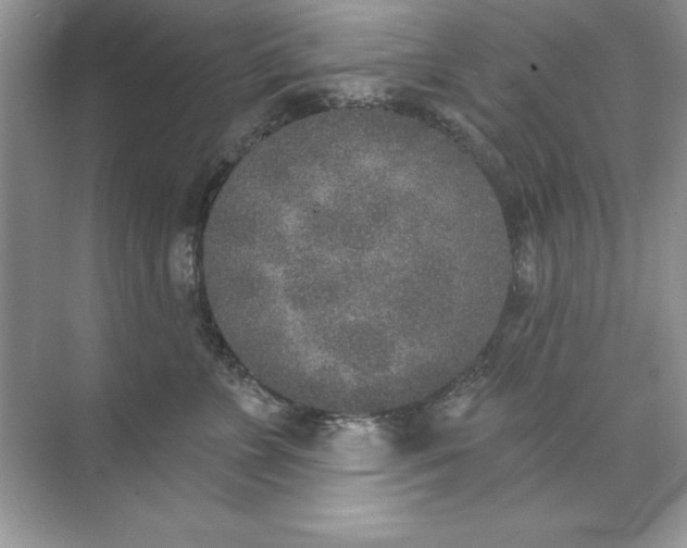 X0000071960715200607212252