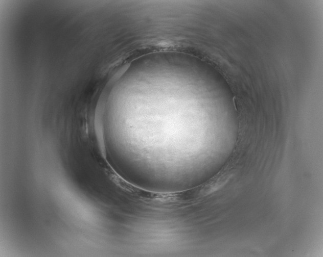 X0000071960720200607212252