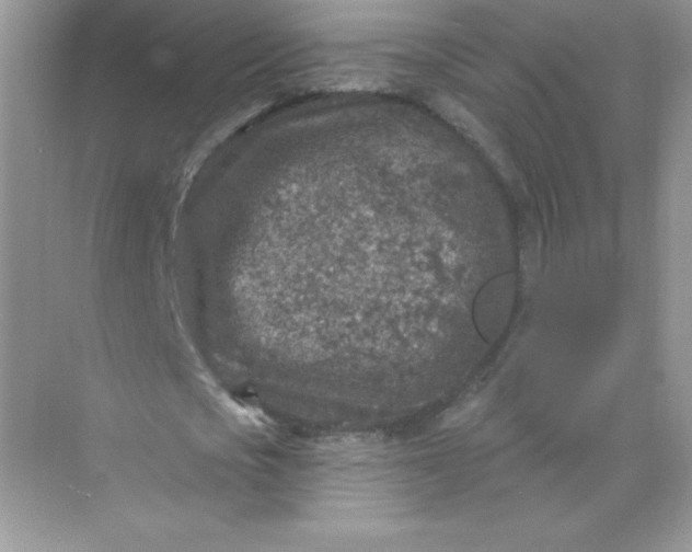 X0000071960721200607212251