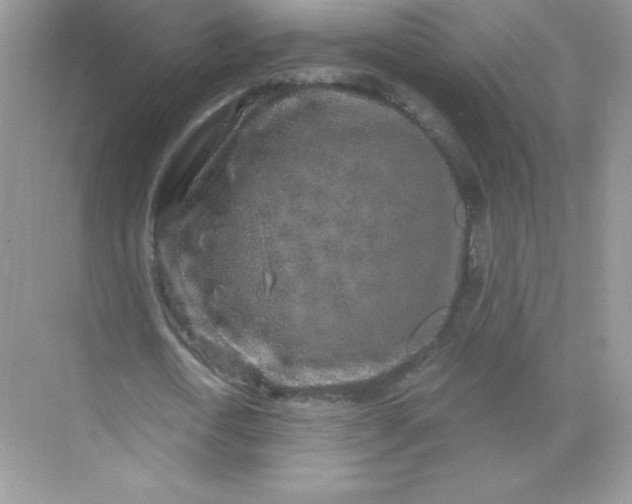 X0000071960722200607212251