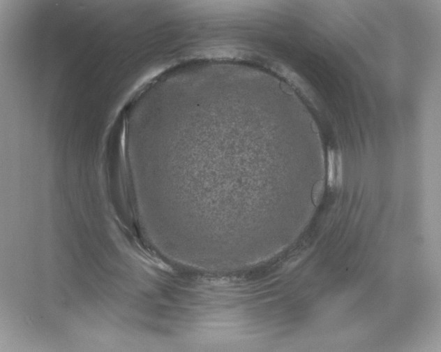 X0000071960723200607212251