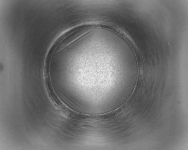 X0000071960724200607212251